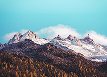 C7 Gaming-国王杯决赛门票分配:马竞和皇社各占40%,赞助商分享余票|西班牙足协|皇家社会|马德里竞技|足协|球票_新浪体育_新浪新闻